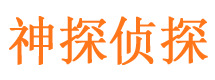 东海岛侦探公司